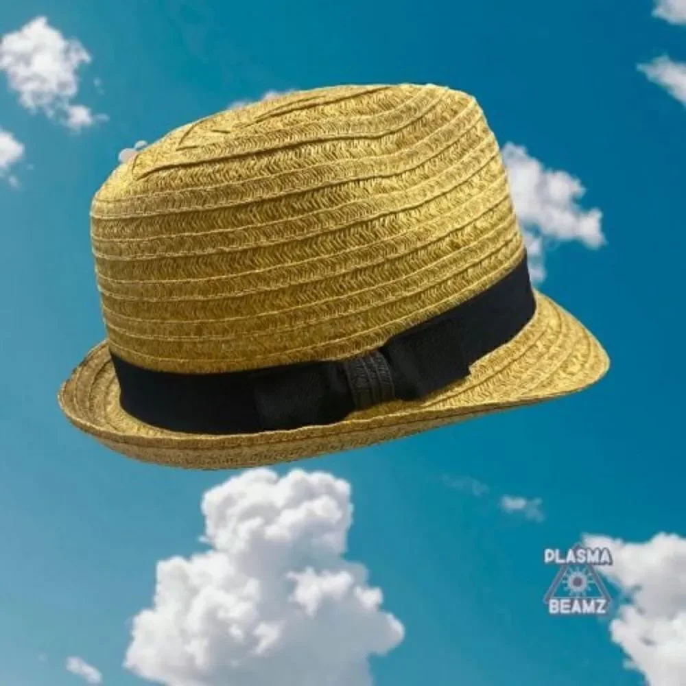 Sonoma Goods for Life Women's Tan and Black Hat
